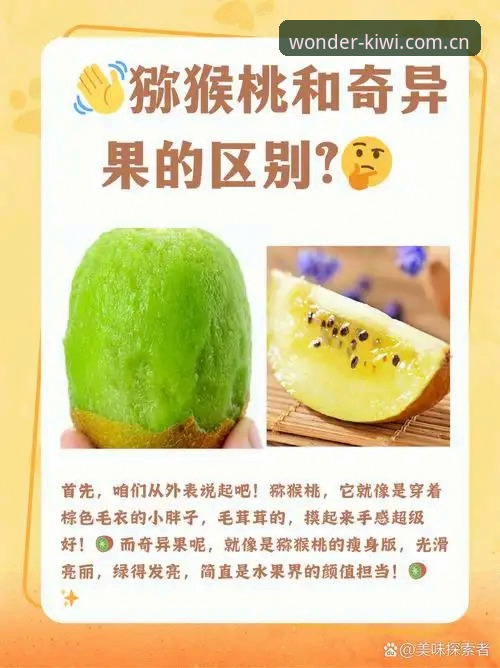 深度揭秘：奇异果怎么样必备？新手入门全攻略，避开这些坑你就赢了