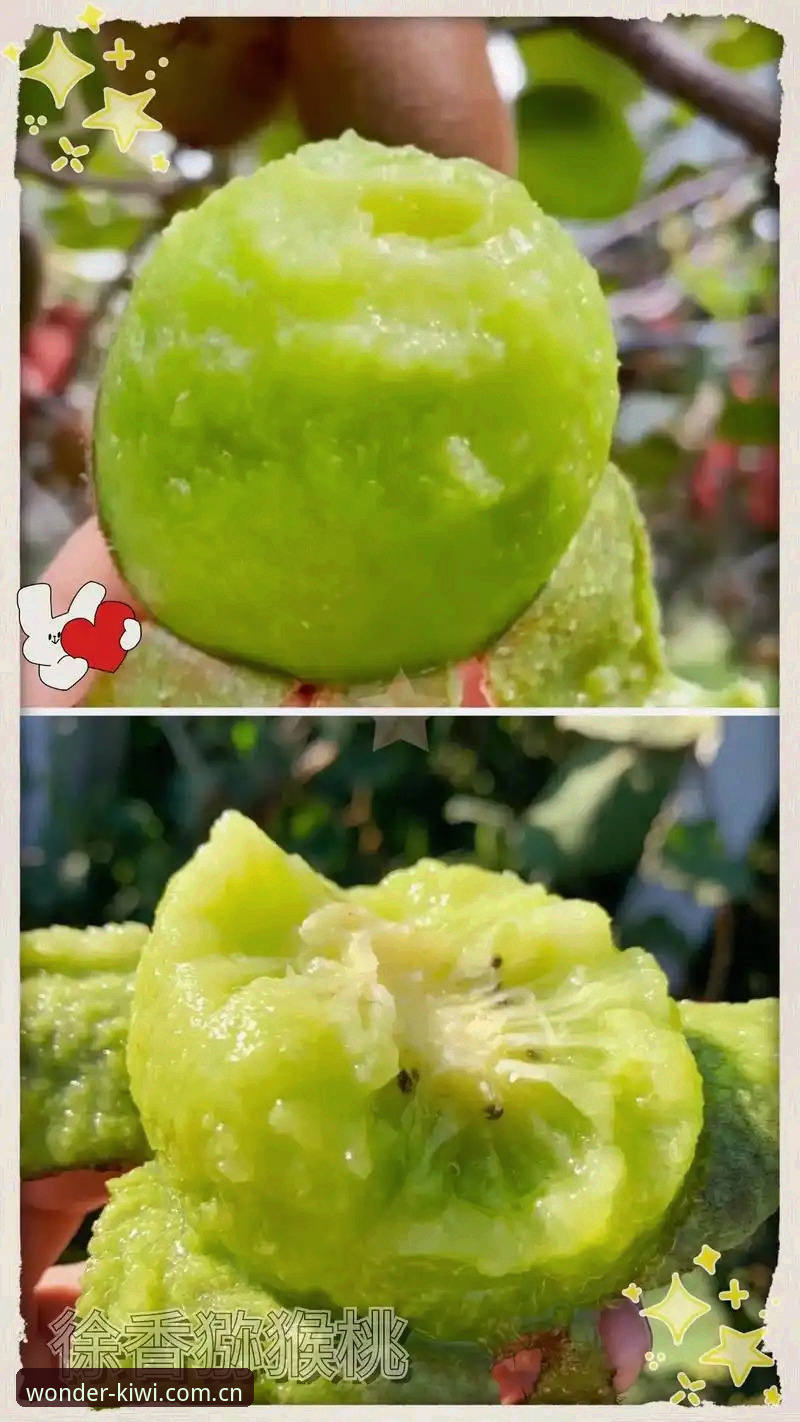 畅玩无限 揭秘奇异果体育平台